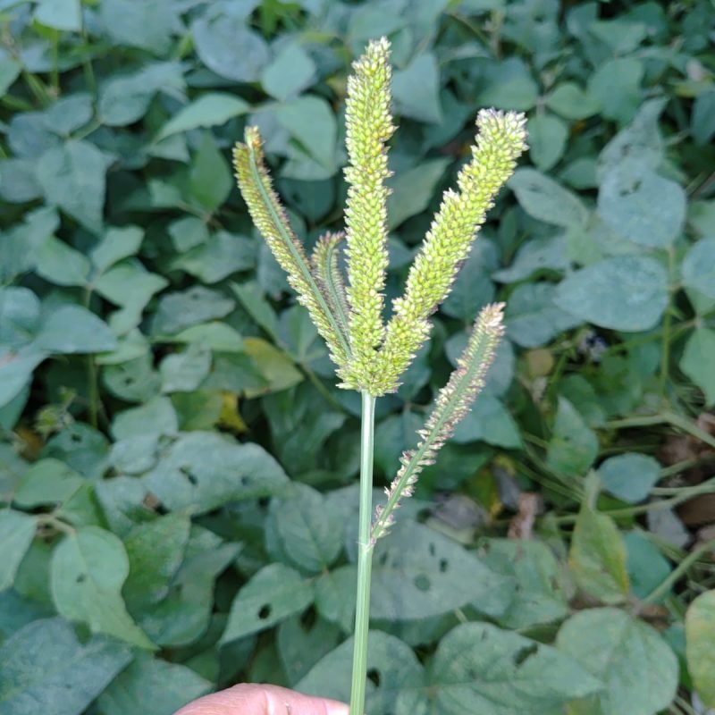 WhatsApp Image 2025-09-24 at 23.25.03 (1)